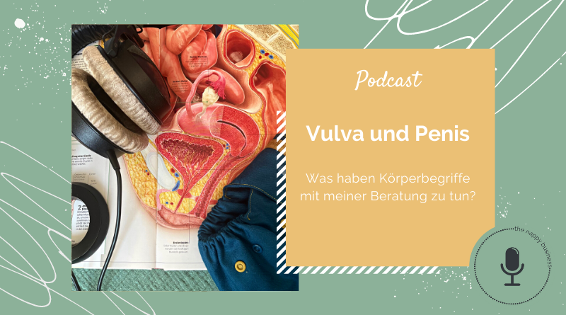 014 Vulva und Penis - Was haben Körperbegriffe mit meiner Beratung zu tun?
